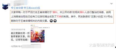 王者爆料博主被制裁视频,揭秘背后真相与影响