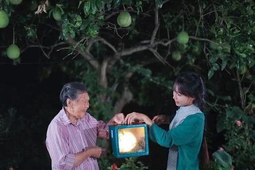 李子柒人品爆料视频,人品爆料视频背后的真实故事